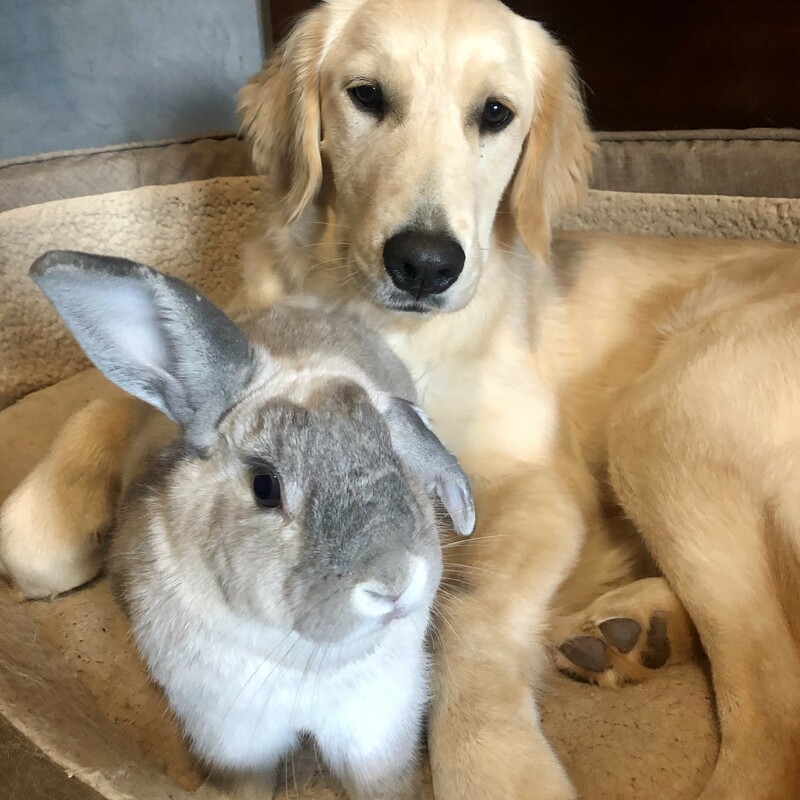 Carly & Senior BunBun